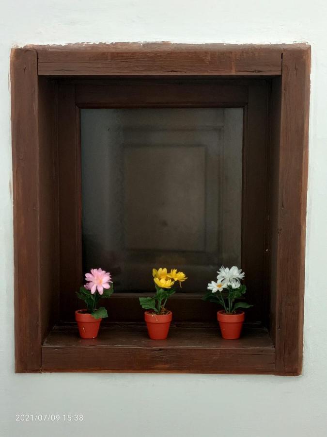 卡塔尼亚Florhouse Pacini公寓 外观 照片
