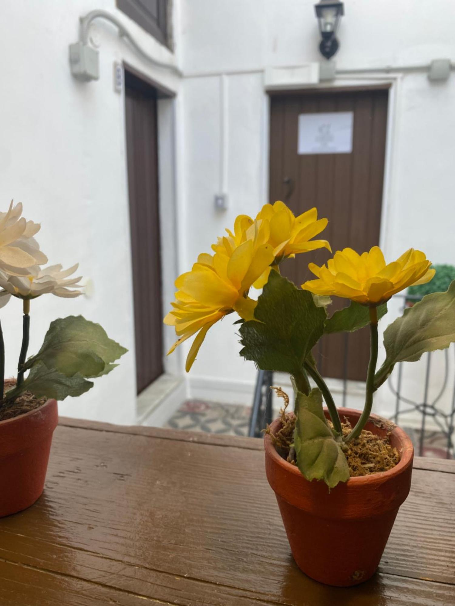 卡塔尼亚Florhouse Pacini公寓 外观 照片